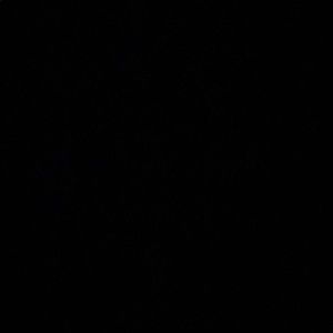 Meet your Posher, Giselle